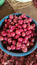 RD Red Onion 454 g