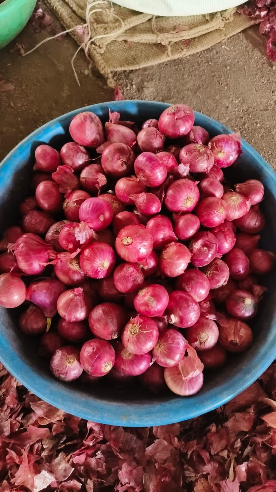 RD Red Onion 454 g