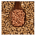 Saurabhi Spanish Peanut 500 g