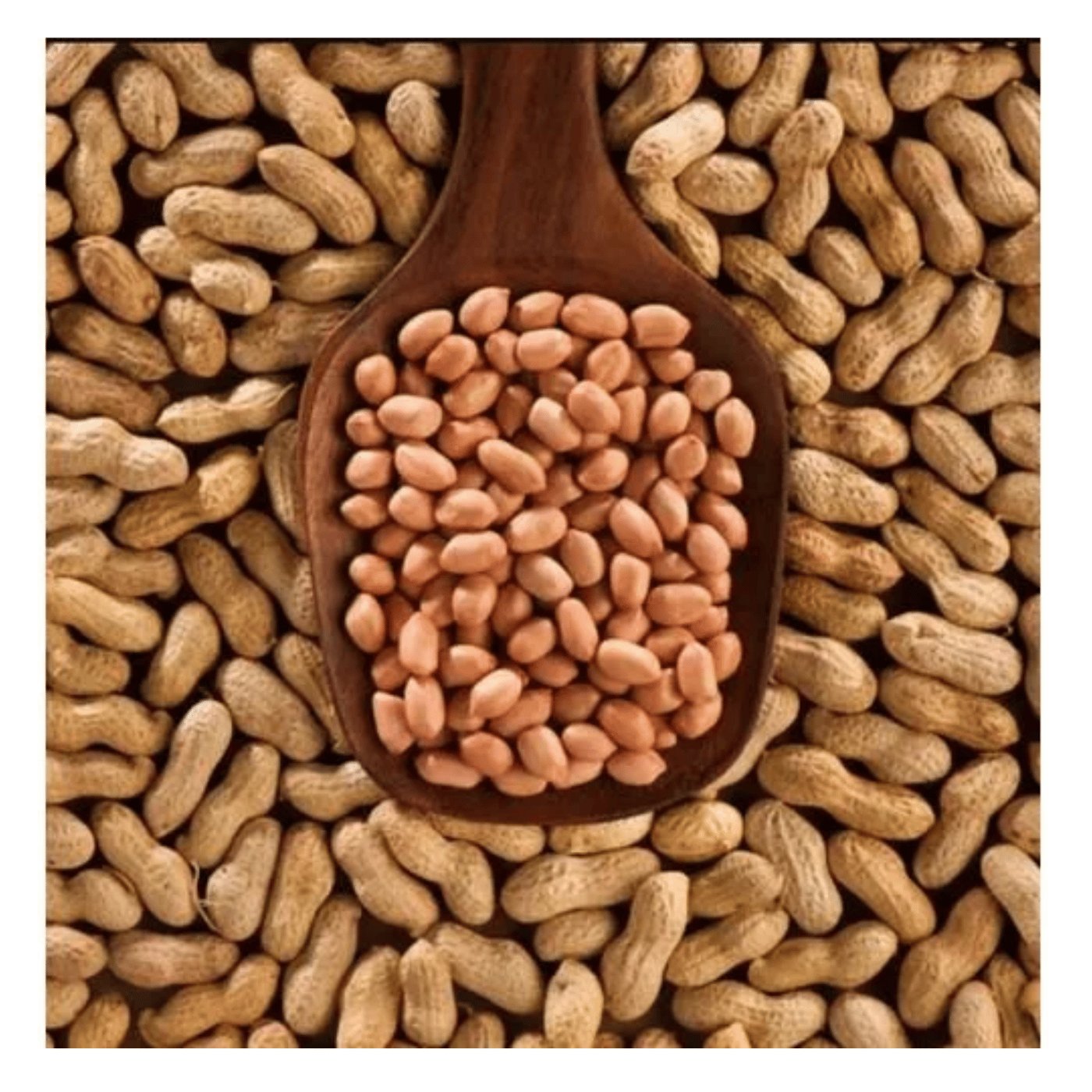 Saurabhi Spanish Peanut 500 g
