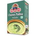 MDH Chutney Podina Msl 100 g
