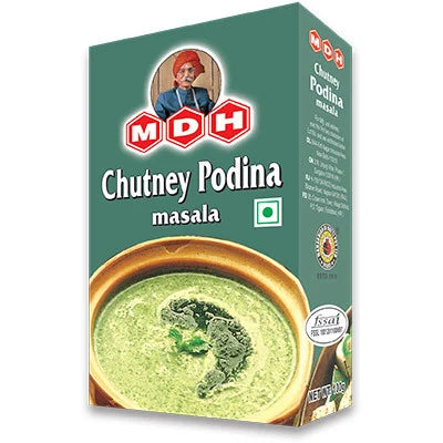 MDH Chutney Podina Msl 100 g
