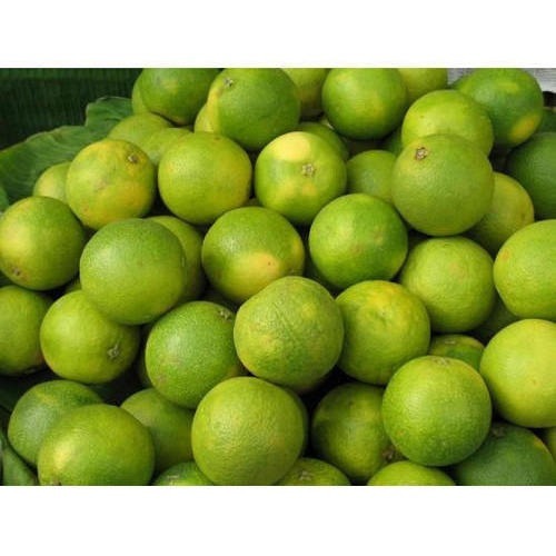 Fresh Lime 1 kg