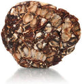 Spark Tamarind Seedless 1 kg