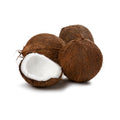 Spark Coconut Whole 1 Pc