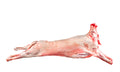 Fresh Lamb 1 kg