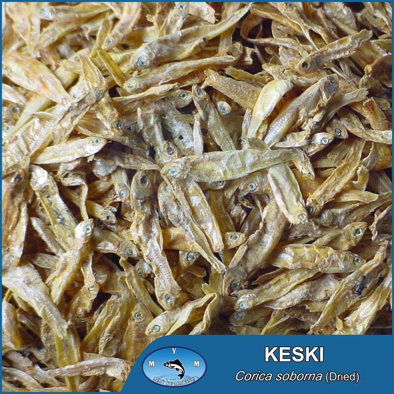 Asr Dry Keski Sprat (Corica Soborna) 200 g