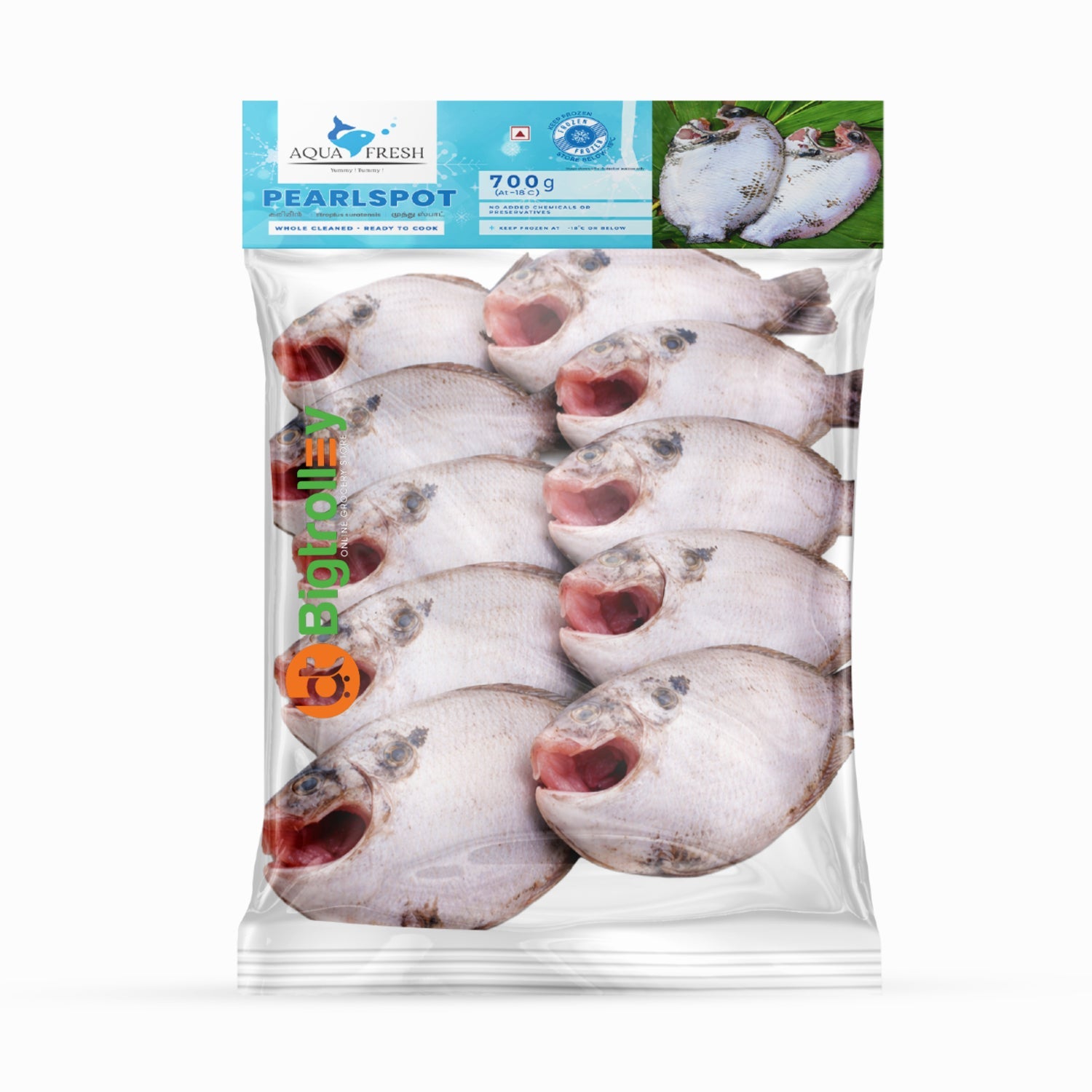 Aqua Anchovy Fish 700 g