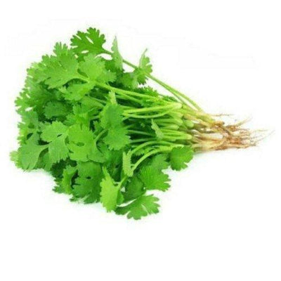 Coriander 6 pc Bunch