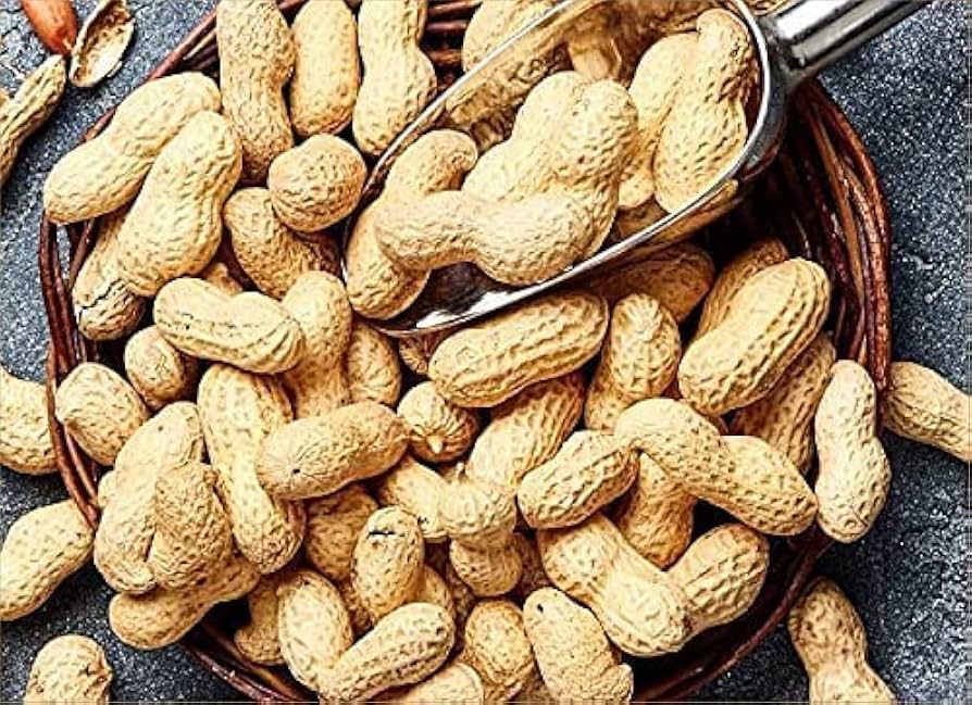 Saurbhi Rt Shell Peanut 500 g