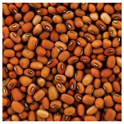 Saurbhi Cow Peas Red Chauli 1 kg