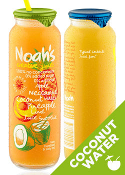 Noahs Nectarine Coconut Pineapple 260 ml