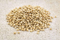TSF Sorghum Whole 500 g