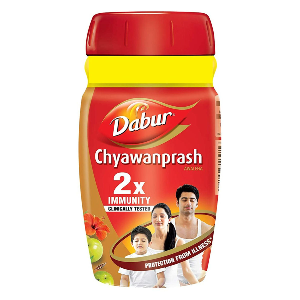 Dabur Chyawanprash 500 g