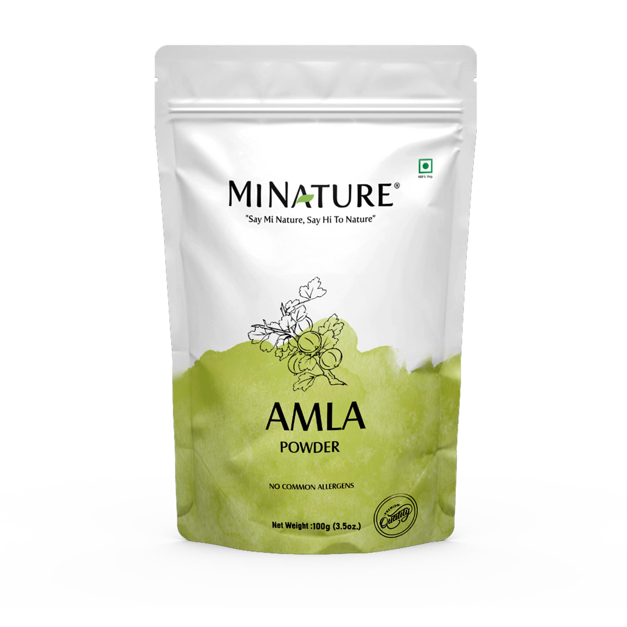 Marathi Gooseberry Powder 100 g