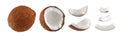 Gajanand Half Coconut 2Pcs
