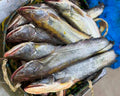 Boal Fish 1 kg