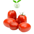 Tomato 1 kg