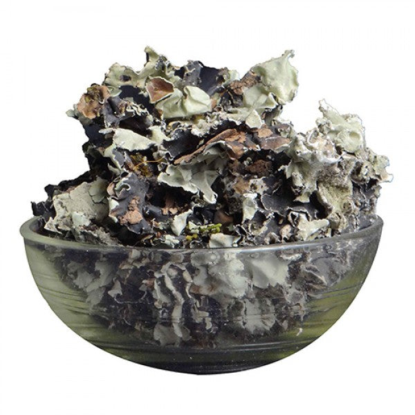 Avatar Stone Flower Kalpasi 50 g