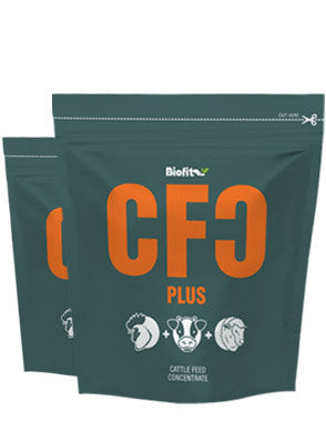 CFC Pouch 100 ml
