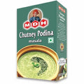 MDH Pudina Chutney
