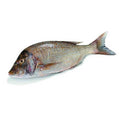 Aqua Emperor Fish 700 g
