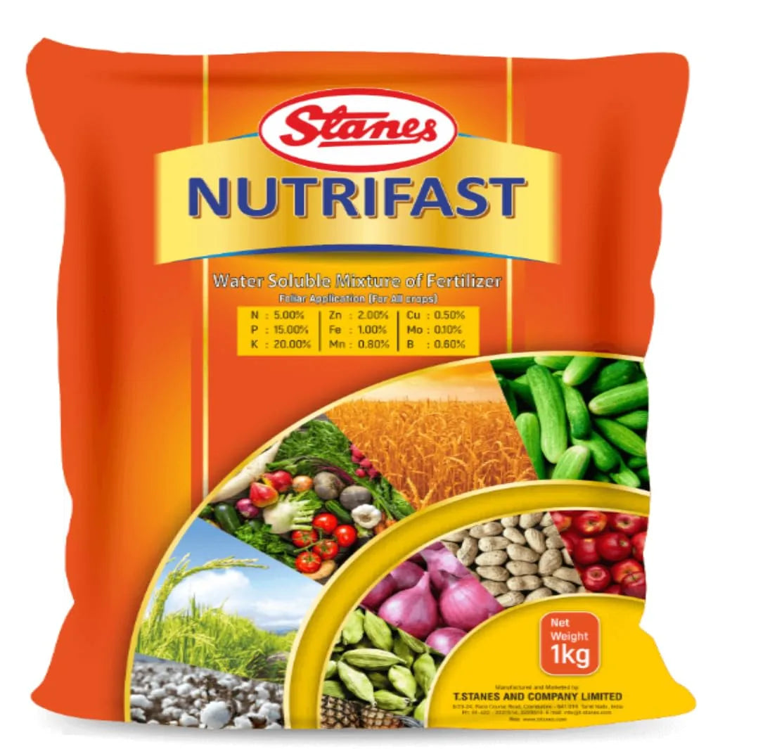 Nutrifirst 500 g