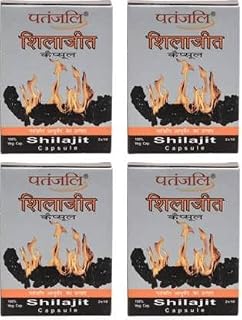 PATANJALI SHILAJEET CAPSULE PACK OF 4 (TOTAL 80 TAB) (Pack of 4)