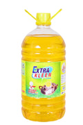 Xtra Kleen Dish Washing Liquid Lemon 750 ml
