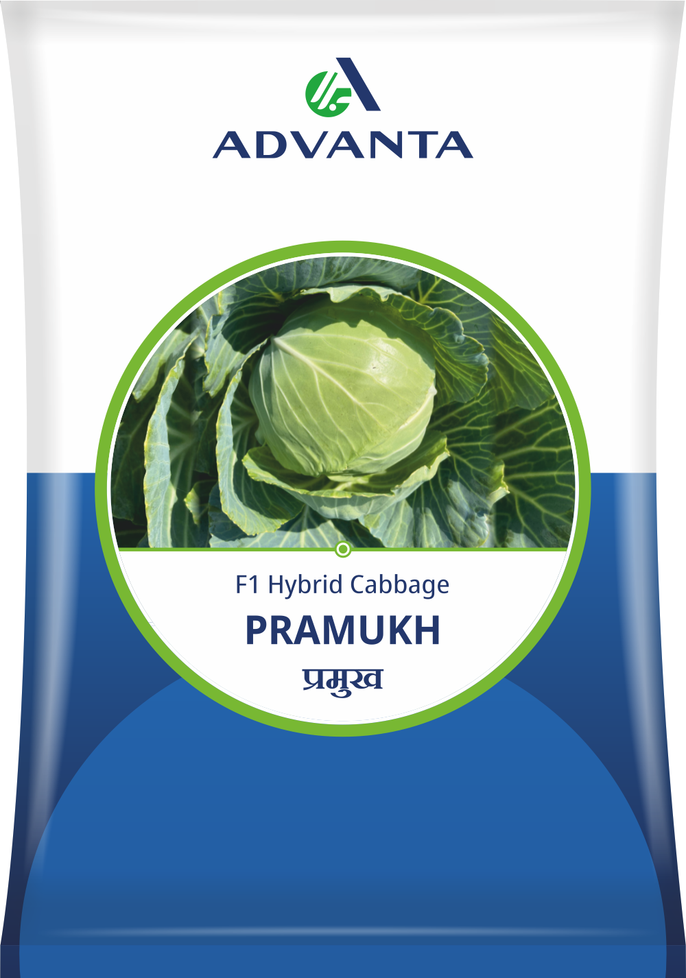 Pramukh Cporiander Seed 1 kg