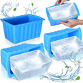 Ice Block Mold 65 ml 4 pcs
