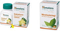 Himalaya Gokshure Men'S Wellness Tablets Tribulusimproves Vigour Tablets 60 Count Wellness Pure Herbs Meshashringi Metabolic Wellness 60 Tablet