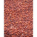 TSF Ragi Seed 500 g