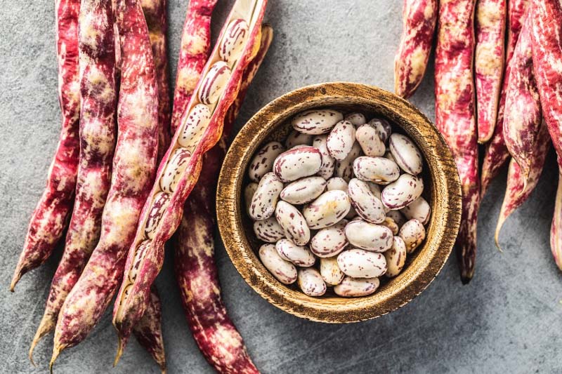 Saurbhi Borlotti (Cranberyy) Beans 1 kg
