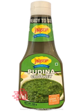 Jaipur Pudina Chutney 400 g