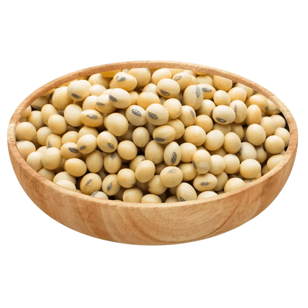 Kadi Soya Bean 1 kg