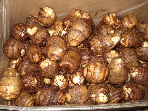 Fresh Taro 1 kg