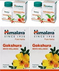 HIMALAYA Pure Herbs Ashvagandha General Wellness and Gokshura Mens Wellness 120 Tabs (Pack of 4) (Pack of 4)