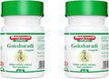 Baidyanath Asli Ayurved Gokshuradi Guggulu 80 tabs - For retention and painful micturition (Pack of 2)