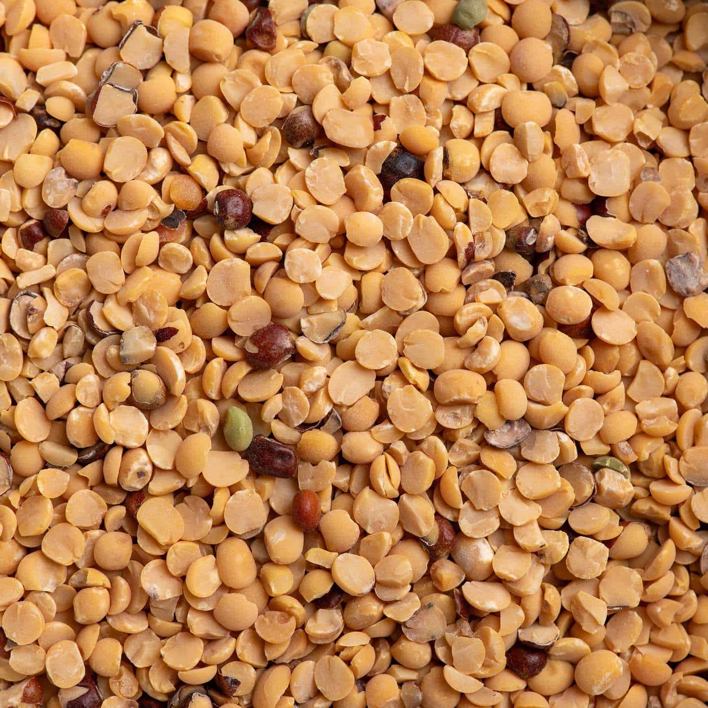 Saurabhi Toor Dhall 1 kg
