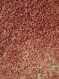Kathmandu Brown Sesame Seed 500 g