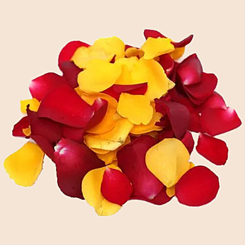 Saurbhi Rose Petals 100 g