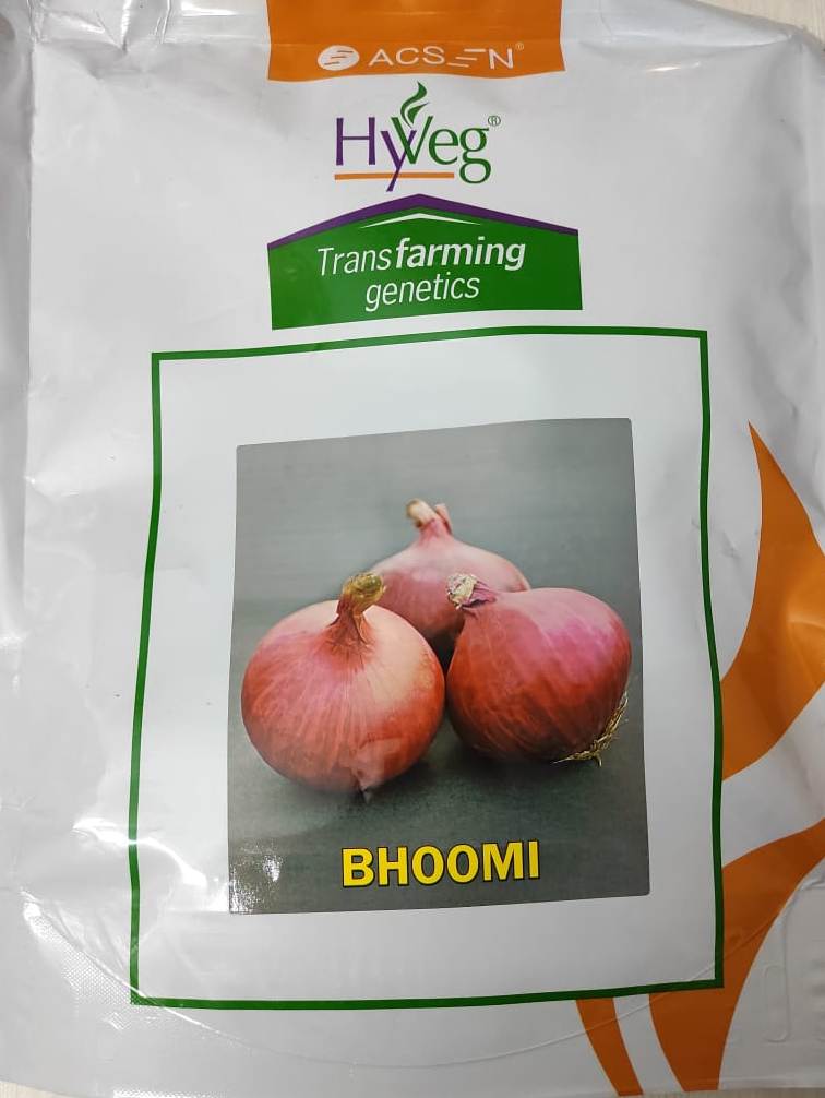 Kemchho 60Pcs Hyd Onion Bhuaji