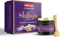 Baidyanath Asli Ayurved Himalayan Shilajit/Shilajeet Resin 20gm - 100% Ayurvedic | Performance Booster For Endurance and Stamina