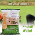 Gramam Foxtail Millet 1 kg