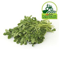 Methi Bunch 1 pc