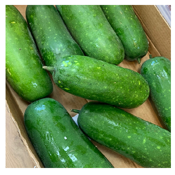 Hairy Melon 1 kg