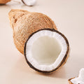 Delight Coconut Whole 1 Piece