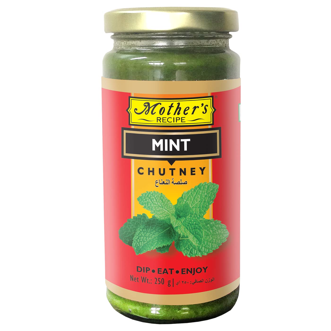 M/R Mint Chutney 250 g
