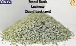 Gajanand Fennel Seed 1 kg